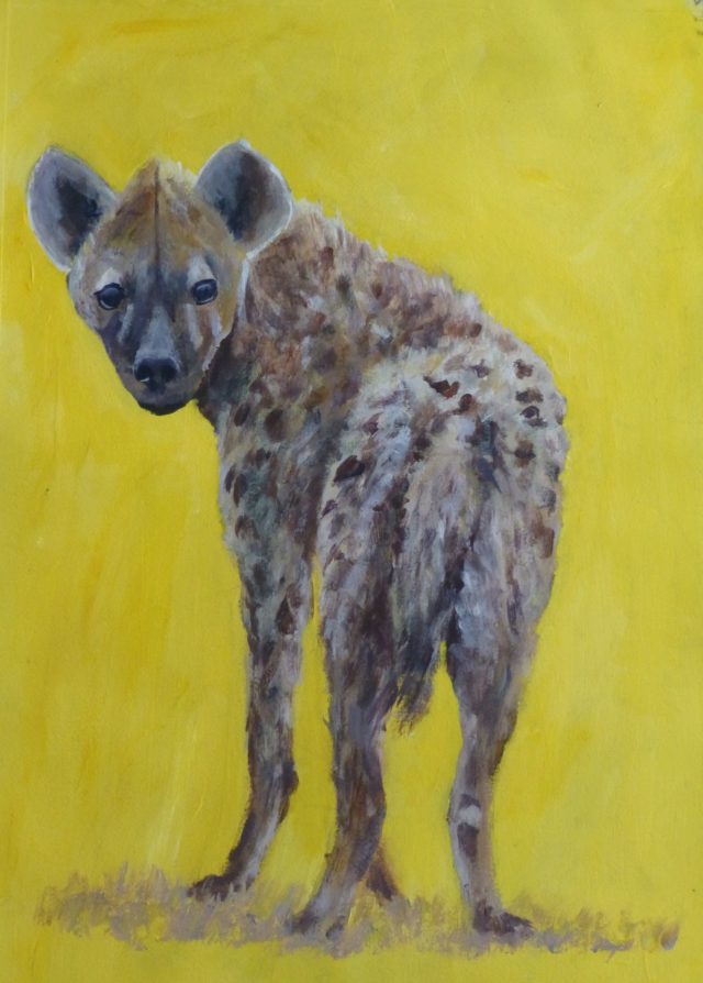 Hyena young inquisitive cuddly Hyena looking over its shoulder - Acrylic Painting