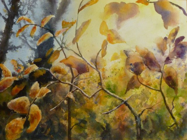 Summer’s Final Dance Autumnal Leaves glowing in sunlight with trees- Watercolour Painting