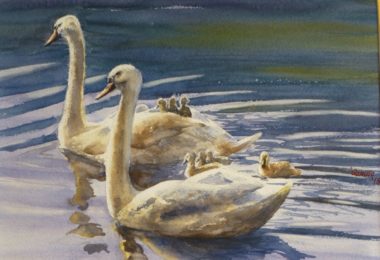 The Family’s Day Out two swans and small cygnets gliding through the water - Watercolour Painting