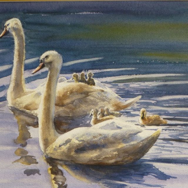 The Family’s Day Out two swans and small cygnets gliding through the water - Watercolour Painting