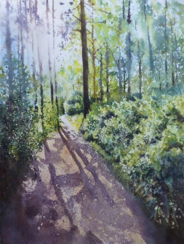 Sunshine in Ainsdale Woods Dappled sunlight and shadows on the footpath between the conifers - Watercolour Painting