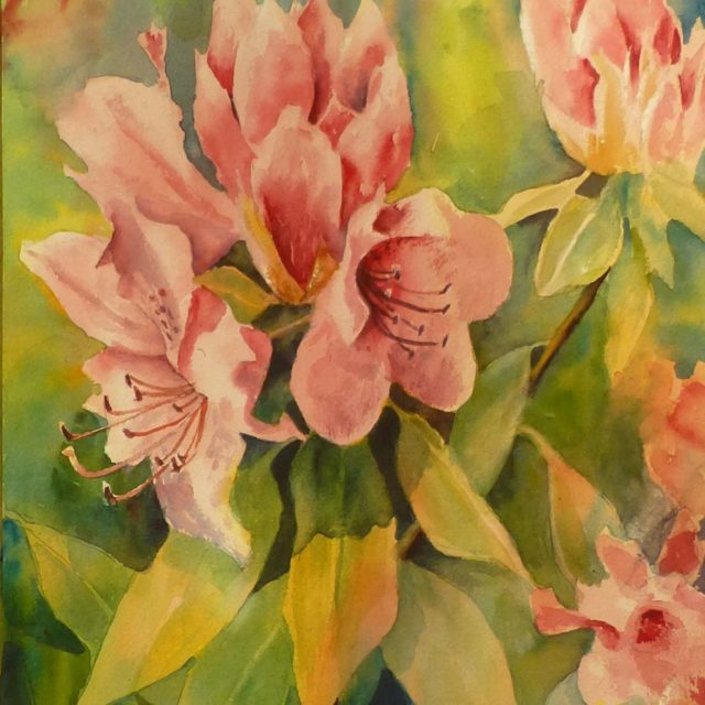 Rhododendrons in Bloom flowers- Floral Watercolour Paintings