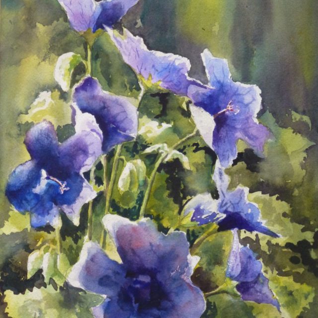 Blue Geraniums Flowers in Light with buds - Floral Watercolour Painting