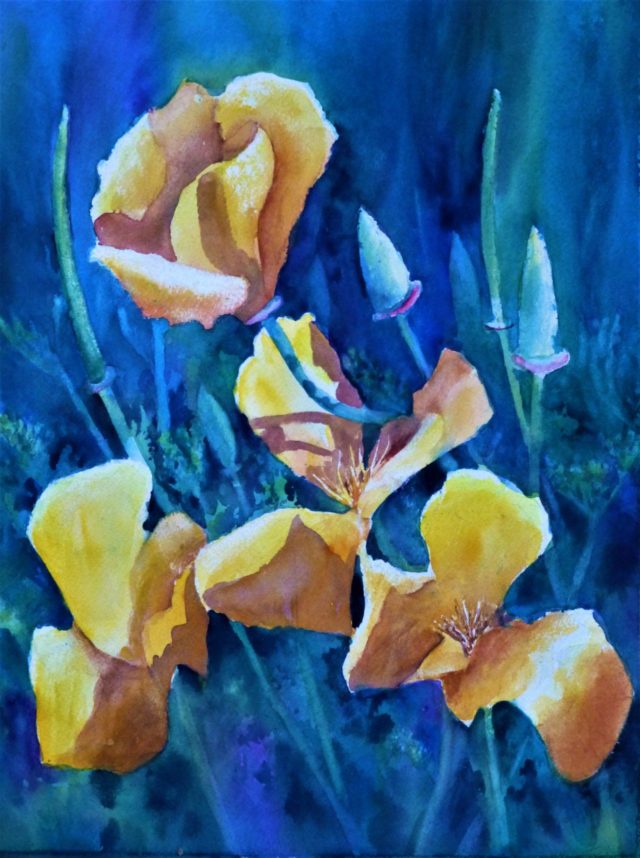 Eschschlozia flowers and buds in Shade - Floral Watercolour Painting