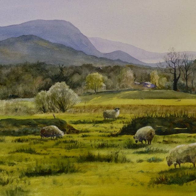 Ambleside in Spring with grazing Lake District sheep under the mountains - Watercolour Painting