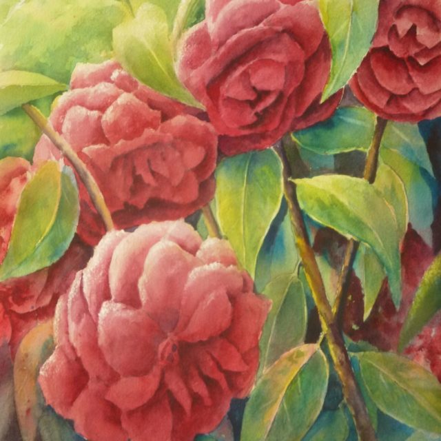 A floral watercolour painting of Camellia Japonica flowers amid verdant greenery and branches with spring light coming from above.