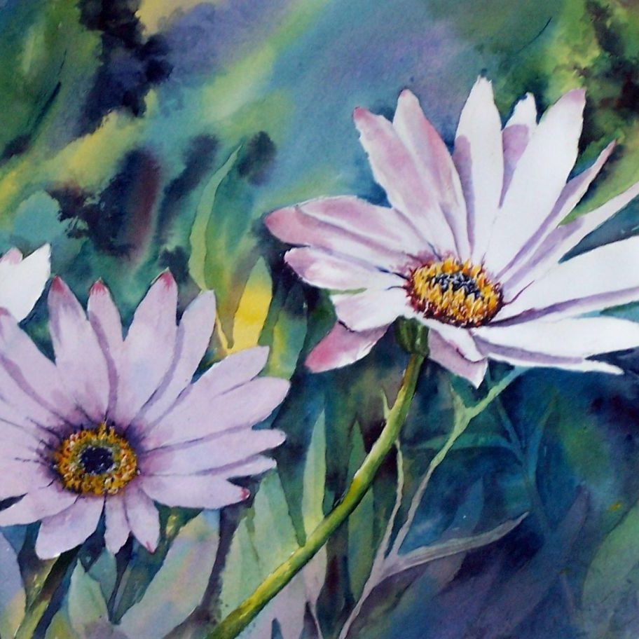 Osteospermum flowers and foliage. Floral Watercolour painting
