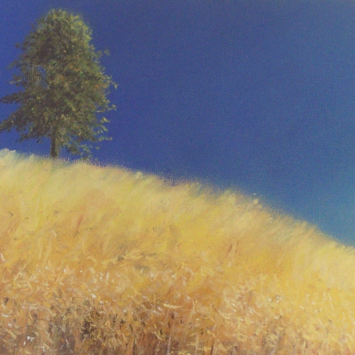 Tree on Hill with ripening wheat and a blue sky. Pastel painting