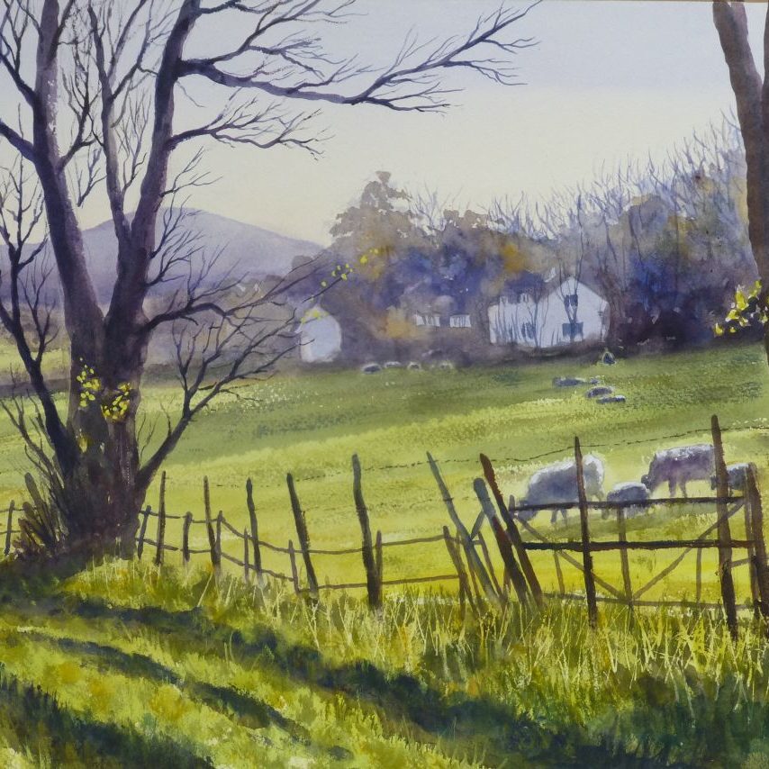 Ambleside, Lake District with sheep and spring lambs in the field. Watercolour painting