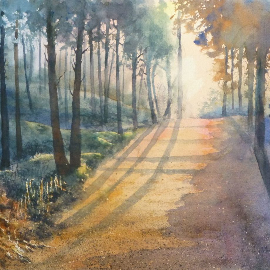 Fishermans Path. Formby pinewoods with sunlight. Watercolour painting
