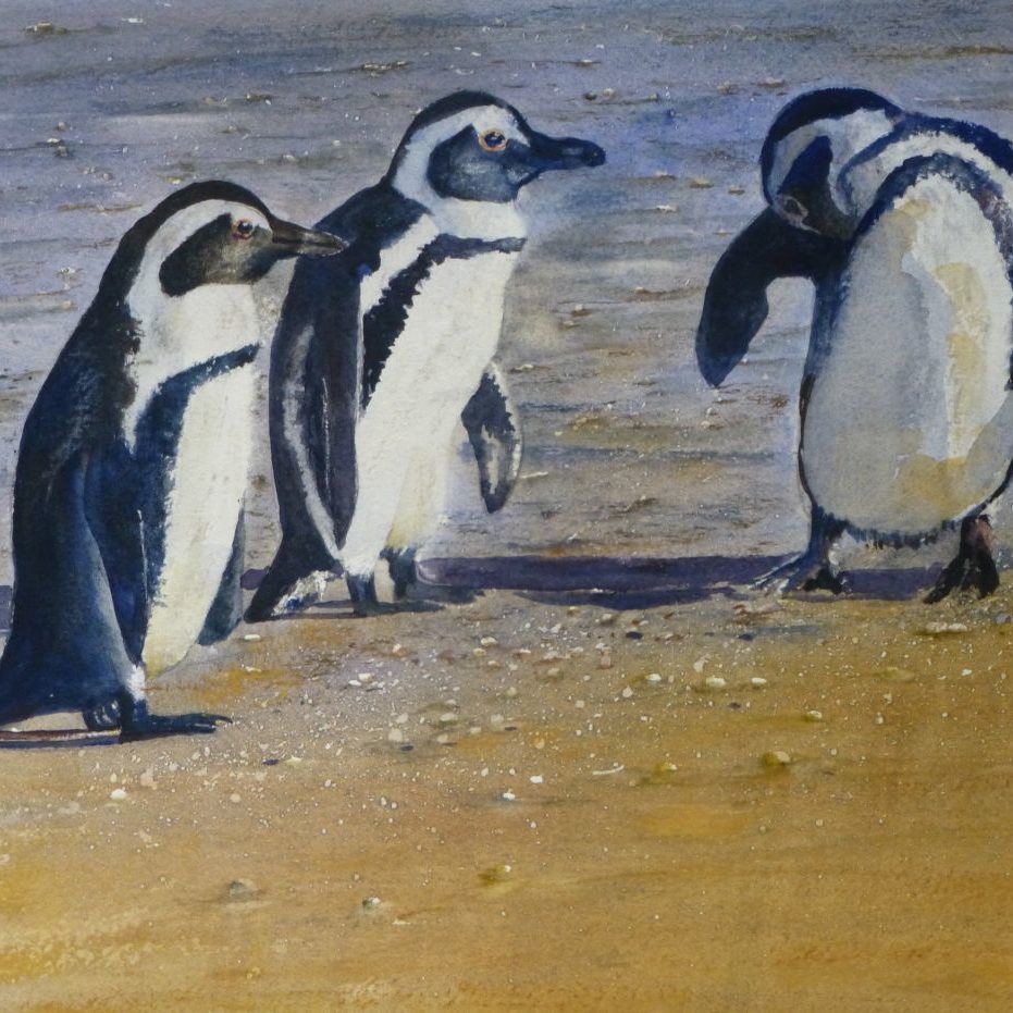 Penguins on the beach, watercolour painting