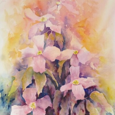 Clematis flowers. Watercolour painting Clematis flowers and foliage in loose style. Floral Watercolour painting