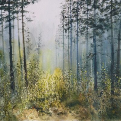 Ainsdale Pine woods. Watercolour painting Ainsdale Pine woods misty and in dappled light. Watercolour painting
