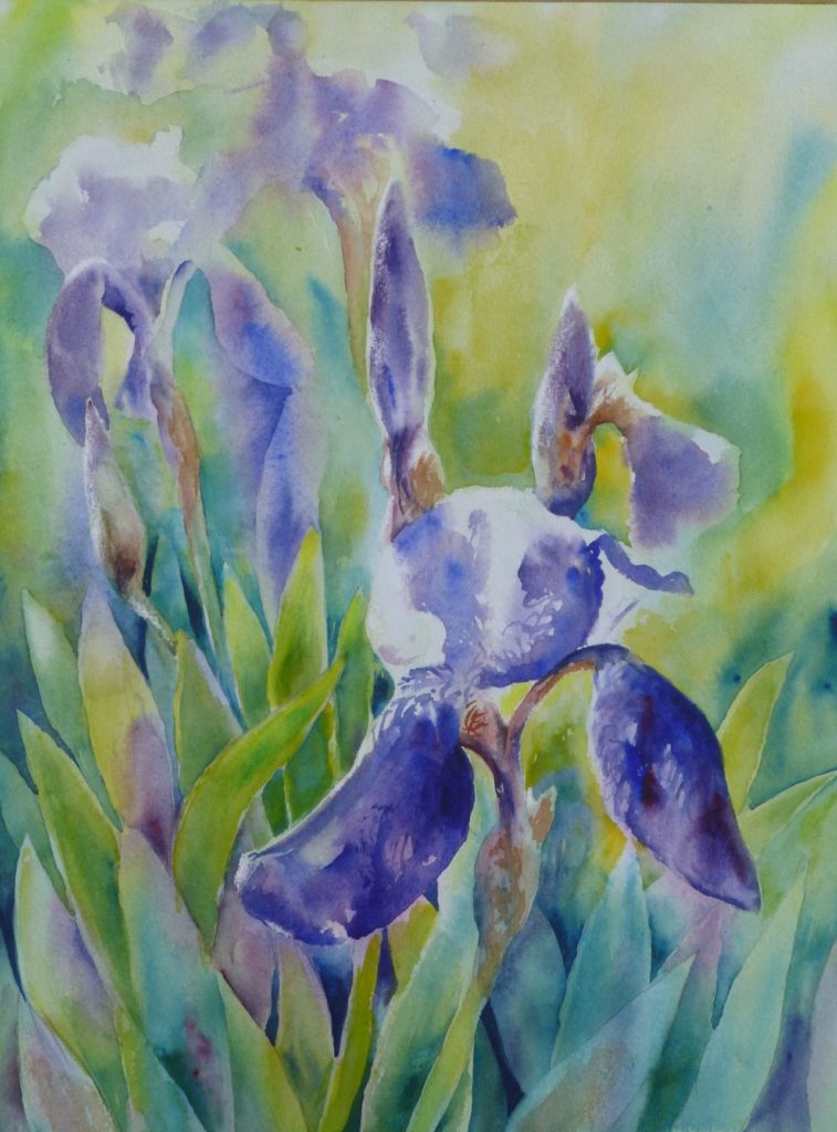 Iris Flowers in sunlight - Watercolour painting