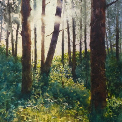 Dancing Light, Fleeting Shadows -Watercolour Painting Dancing Light, Fleeting Shadows - a watercolour painting of the pinewoods at Ainsdaale with light sprinkling between the trees