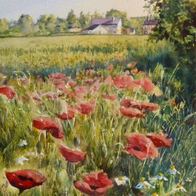 A watercolour painting of fields and houses near Halsall featuring poppies and daisies growing in a field of cereal