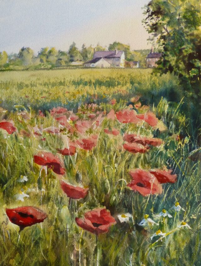 A watercolour painting of fields and houses near Halsall featuring poppies and daisies growing in a field of cereal
