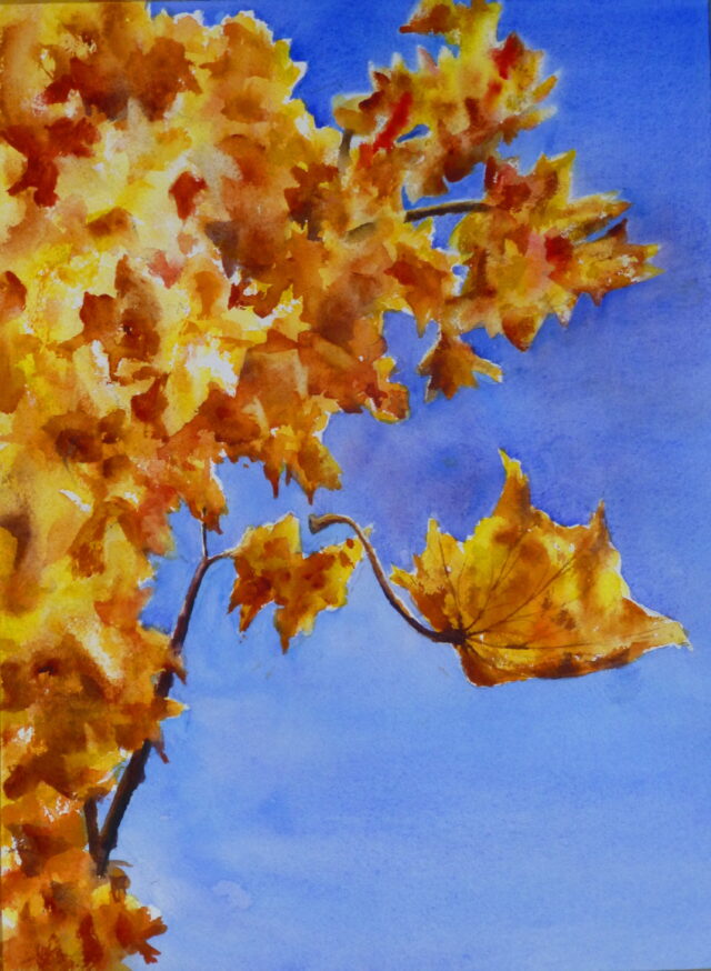A watercolour painting of an autumnal scene of a tree with gold and orange leaves set against a rich blue sky and a falling leaf in the foreground