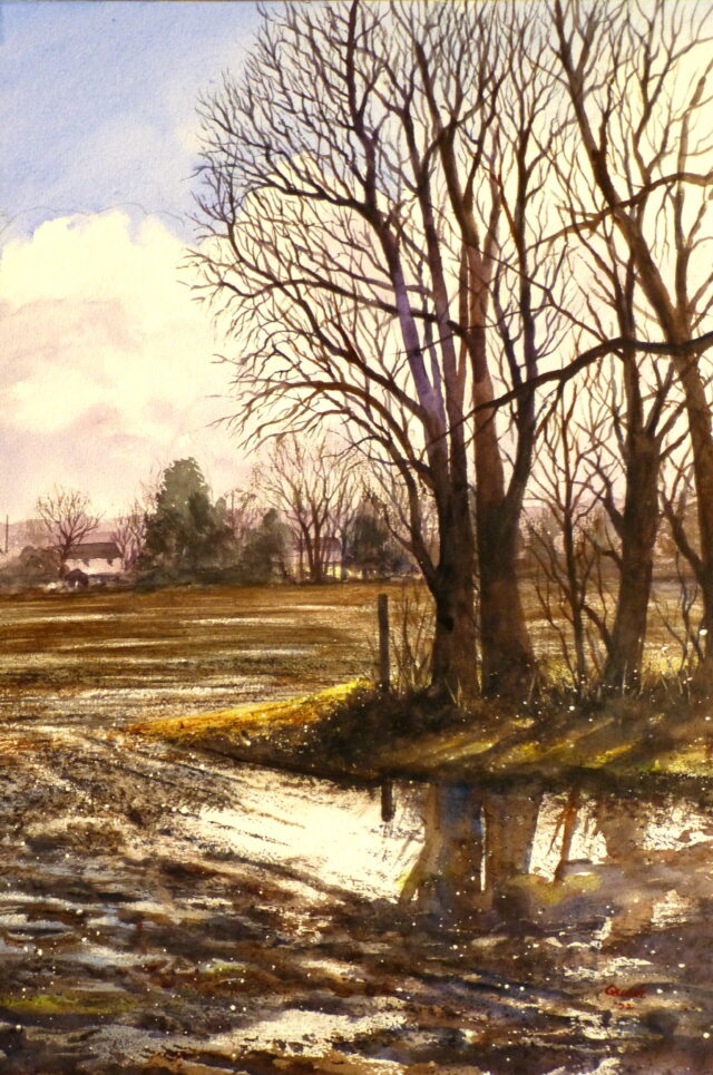 A watercolour painting of flooded fields and winter bare trees with reflections of the trunks, branches and fence posts in the puddles.
