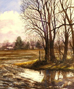 A watercolour painting of flooded fields and winter bare trees with reflections of the trunks, branches and fence posts in the puddles.