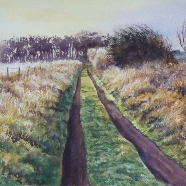 Coastal Path at Formby - a landscape watercolour painting of the coastal tracks near Formby with sunlight over fields, trees and fences