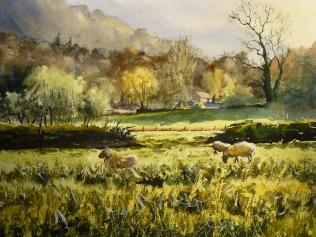 A watercolour painting of a pastoral scene of Ambleside with brazing sheep and distant trees houses and mountains in a contra jour light.