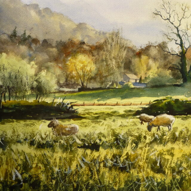 A watercolour painting of a pastoral scene of Ambleside with brazing sheep and distant trees houses and mountains in a contra jour light.