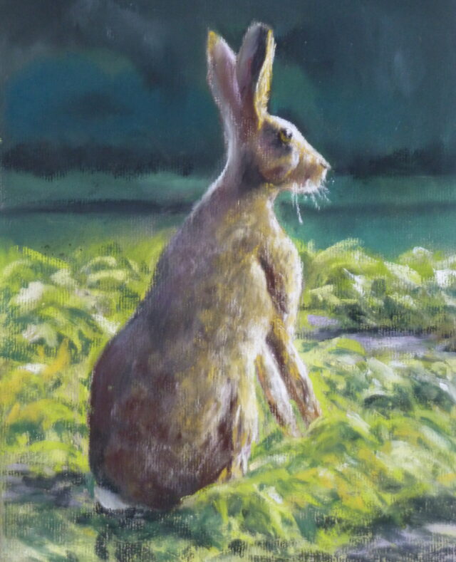 A pastel painting of a hare sitting in a field of greenery illuminated by an early morning sun against a dark wooded background