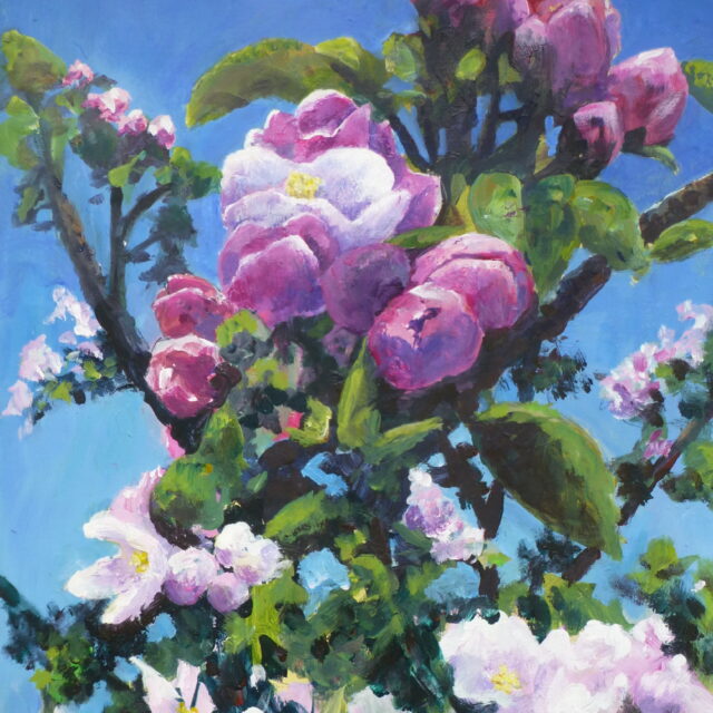 An Acrylic painting of sunlit apple blossom in spring against a backdrop of a blue sky. Some red buds are yet to burst, others have bloomed into white blossom.