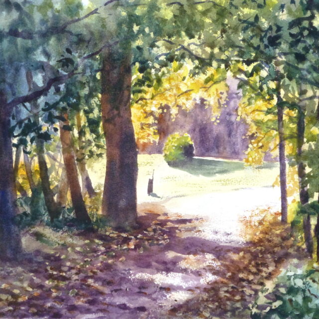 A watercolour painting of a shady copse in Ainsdale Woods looking through to a bright sunlit path beyond with the colours of autumn foliage of the birch trees.
