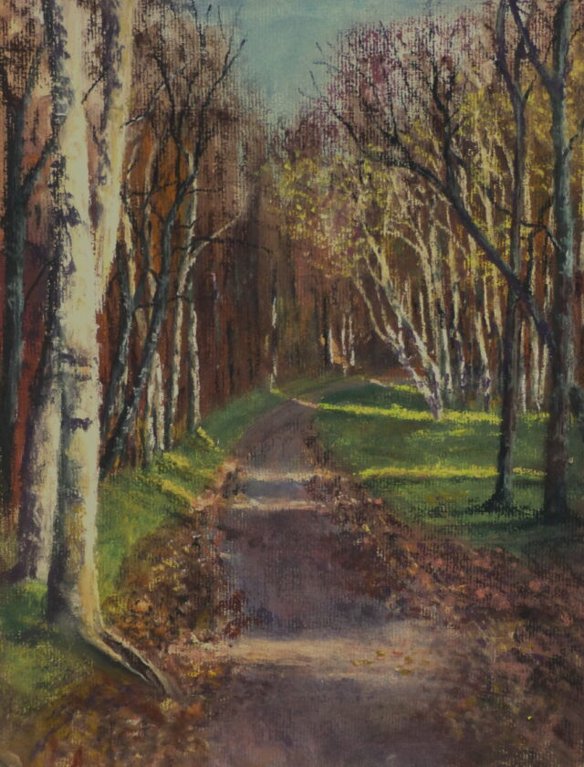 A pastel painting of a footpath in Ainsdale Woods with sunlight coming in highlighting some of the silver birches amongst the other trees which line the leaf covered path