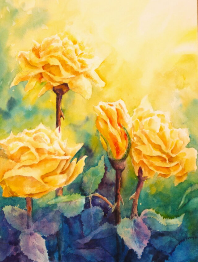 A watercolour painting of three yellow roses in full bloom and one flower beginning to break out all set against a bright yellow background indicating sunlight. In contrast, lower down, the leaves are depicted in purples, blues and greens to complement the colours in the upper part.