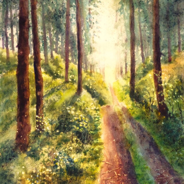 A watercolour painting of sunlight in Ainsdale woods with the light breaking through a gap in the pine trees that also illuminates the path that climbs upwards over the forested dunes and the foliage and fallen branches.