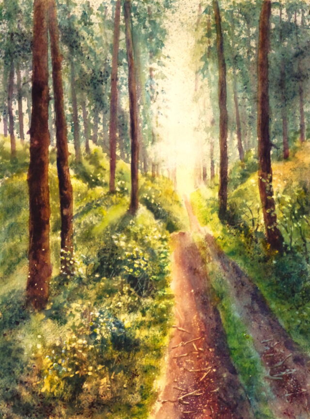 A watercolour painting of sunlight in Ainsdale woods with the light breaking through a gap in the pine trees that also illuminates the path that climbs upwards over the forested dunes and the foliage and fallen branches.