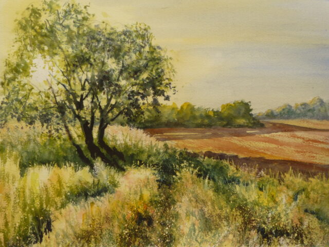 A watercolour painting of a grassy footpath up the gentle incline to Clieves Hills near Ormskirk with shadows cast by a cluster of trees towards the copses in the distance.