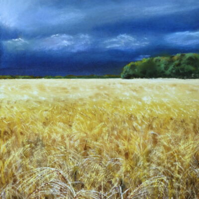 Field of Barley - Pastel Painting A pastel painting of a ripened field of barley lit by the evening sun against a backdrop of threatening grey clouds.