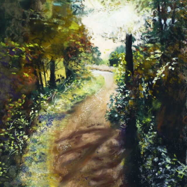 A pastel painting of the path through Ainsdale woods as the sun breaks through the trees casting shadows on the sweeping path