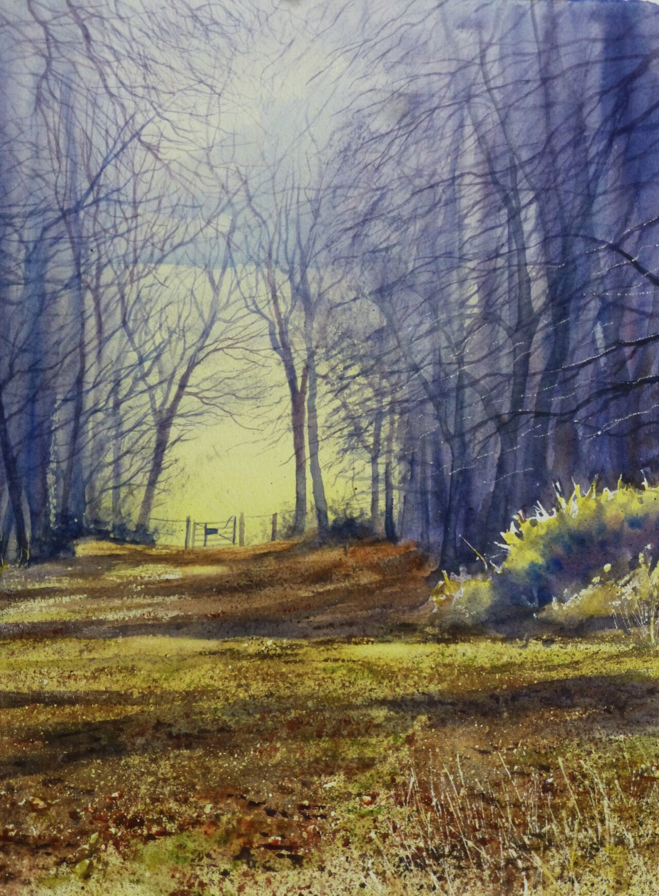 A watercolour painting of a broad green pathway between trees, illuminated by shafts of light. In the distance a gate leads out to a field.