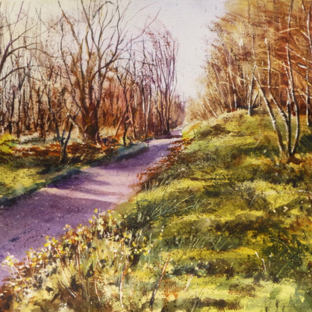 A watercolour painting of the start of the footpath into Ainsdale woods. The trunks of the wintering birches are illuminated by the low sun.
