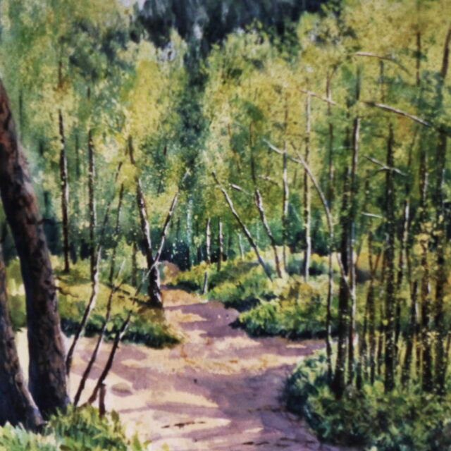 A watercolour painting of the crossing of two sandy tracks in Ainsdale woods. The sides of the trunks of birches and Firs are illuminated by the low sun.