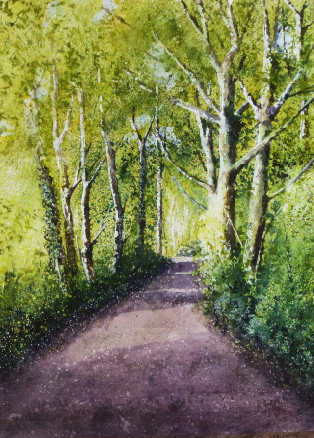 A watercolour painting of the sunlit trees casting shadows across the coastal path at Formby in the morning with strong contrasts of light and shade.