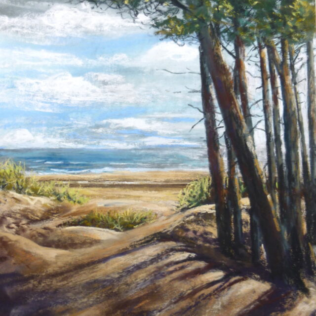 A pastel painting of pines on the Freshfield dunes near Formby with a view over marram grasses to the beach and sea beyond, The trunks cast shadows across the dunes.