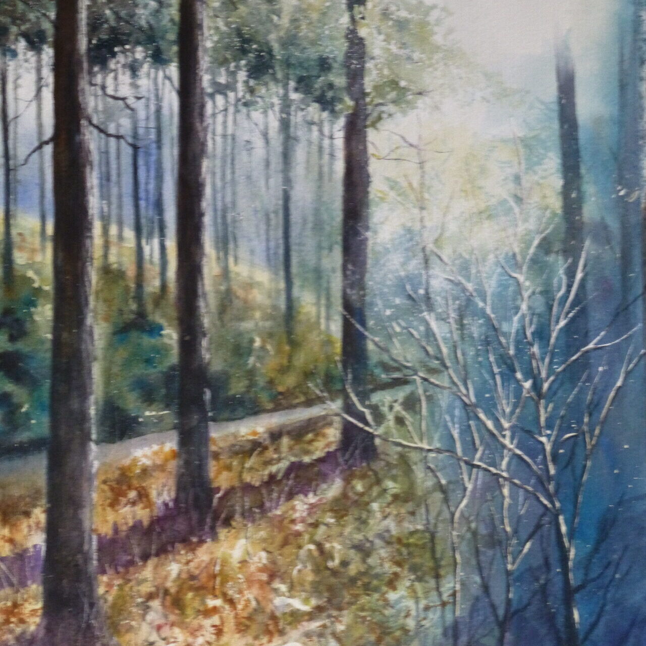 Pine Forest with bracken in sunlight, Ainsdale. Watercolour painting
