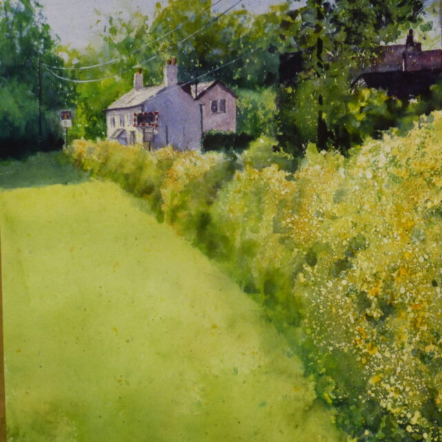 A watercolour painting of the canal-side cottages on Back Lane Newburgh seen from an adjacent field.